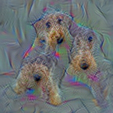n02095889 Sealyham terrier, Sealyham
